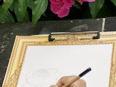 -莲花池公园
