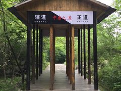 -青峰峡国家森林公园