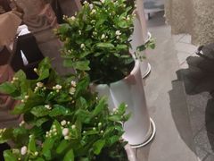 -三只耳火锅(宽窄巷子店)