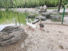 -长安大学(北校区)