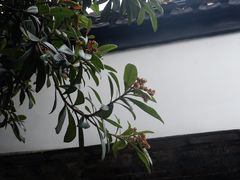 -南京市民俗博物馆(甘熙宅第)