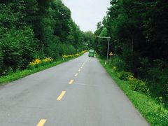 -峡谷浮石林景区