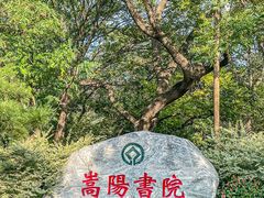 -禅宗少林·音乐大典
