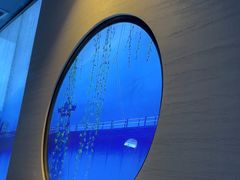 -上足·影院足道·SPA(红岭店)