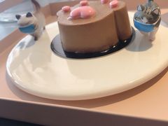 -喵屿·大理花园猫咖