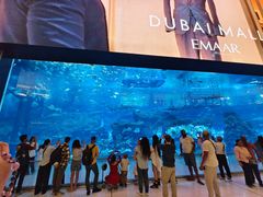 -迪拜水族馆及水下动物园