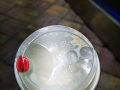 -仙境豆夫(步行街旗舰店)