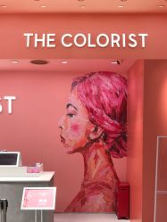 -THE COLORIST调色师