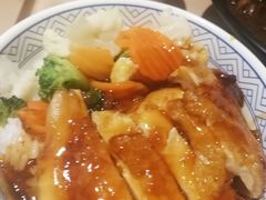 -吉野家(红博中央公园店)