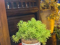 -尽善百年古院餐厅(王家老宅店)