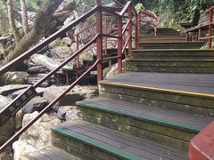 -呀诺达热带雨林