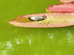 -国家植物园南园