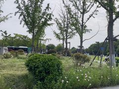 -上海佘山国家森林公园西佘山园