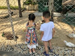 -三亚亚龙湾天域度假酒店