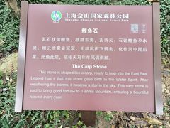 -上海佘山国家森林公园天马山园