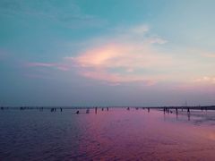 -南汇嘴观海公园