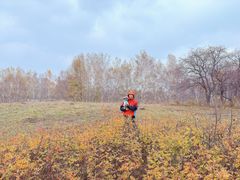 -塞罕坝国家级自然保护区