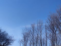 -长春世界雕塑园
