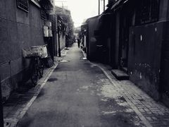 -百花深处胡同