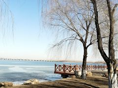 -丁香湖公园