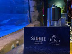 -沈阳海洋探索中心