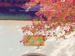 -郑州中国绿化博览园