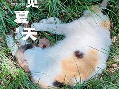 -西园寺