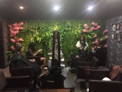 -藤野造型·专业烫染店