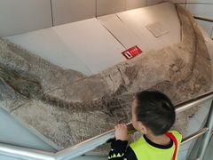 -中国地质大学逸夫博物馆