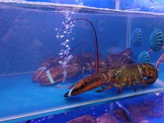 -阿浪海鲜连锁•海鲜加工•老字号(第一市场店)