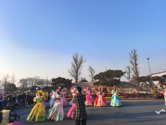 -荷兰花海