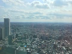 -东京都厅舍