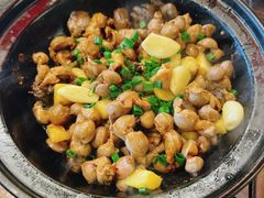 -旺金鸽(穗盐路总店)