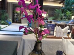 -狮王府淮扬菜(夫子庙老门东店)