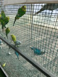 -萌宠亲子动物乐园(槐房万达店)