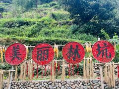 -林坑古村落