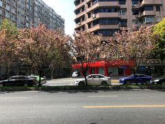 -成都市实验小学(人民中路校区)