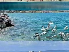 -青海湖国家重点风景名胜区