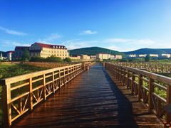 -塞罕坝国家级自然保护区