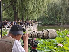 -莲花池公园