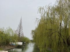 -广富林郊野公园
