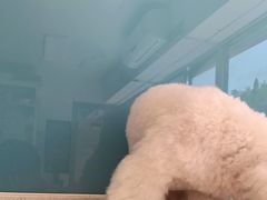-宠颐生中康贝怡动物医院
