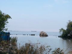 -上海吴淞炮台湾国家湿地公园