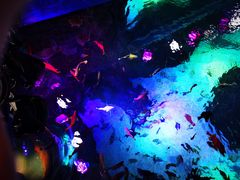 -沈阳海洋探索中心