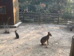 -苏州太湖西山岛开心农场