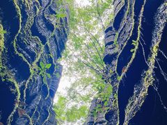 -梭布垭石林景区