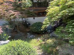 -久宴·天目湖大鱼头(恐龙园店)