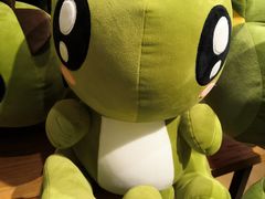 -The Green Party(碧湖万达广场店)