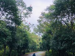 -石塘人家