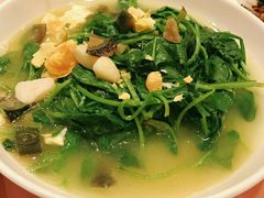 -席家花园(巨鹿花园店)